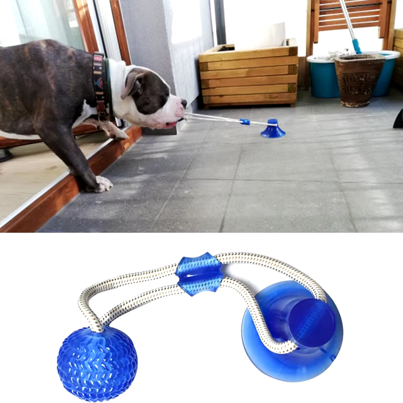 Interactive Suction Cup TPR Ball Dog Toy with Molar Bite and Elastic Ropes for Dental Care and Chewing Activities