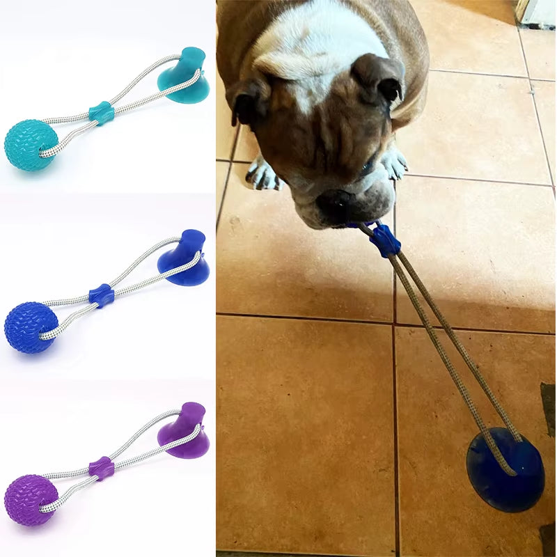 Interactive Suction Cup TPR Ball Dog Toy with Molar Bite and Elastic Ropes for Dental Care and Chewing Activities