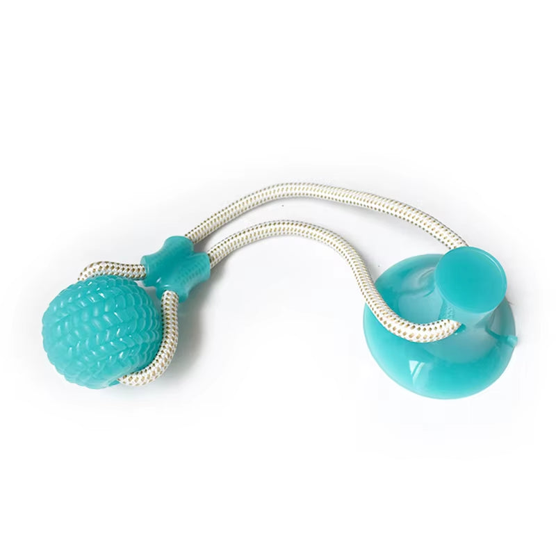 Interactive Suction Cup TPR Ball Dog Toy with Molar Bite and Elastic Ropes for Dental Care and Chewing Activities