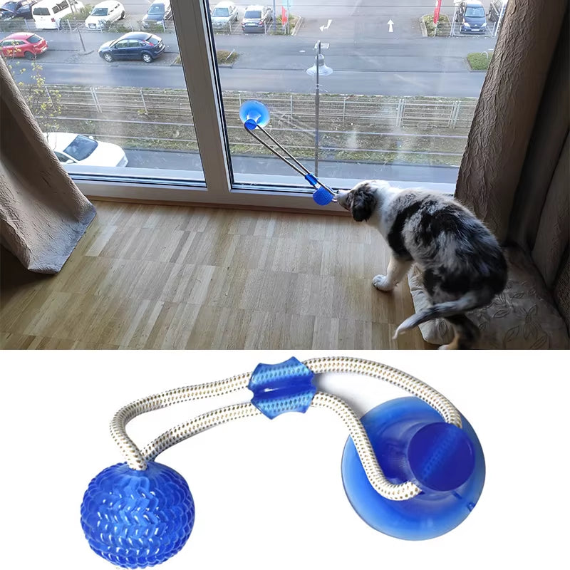 Interactive Suction Cup TPR Ball Dog Toy with Molar Bite and Elastic Ropes for Dental Care and Chewing Activities